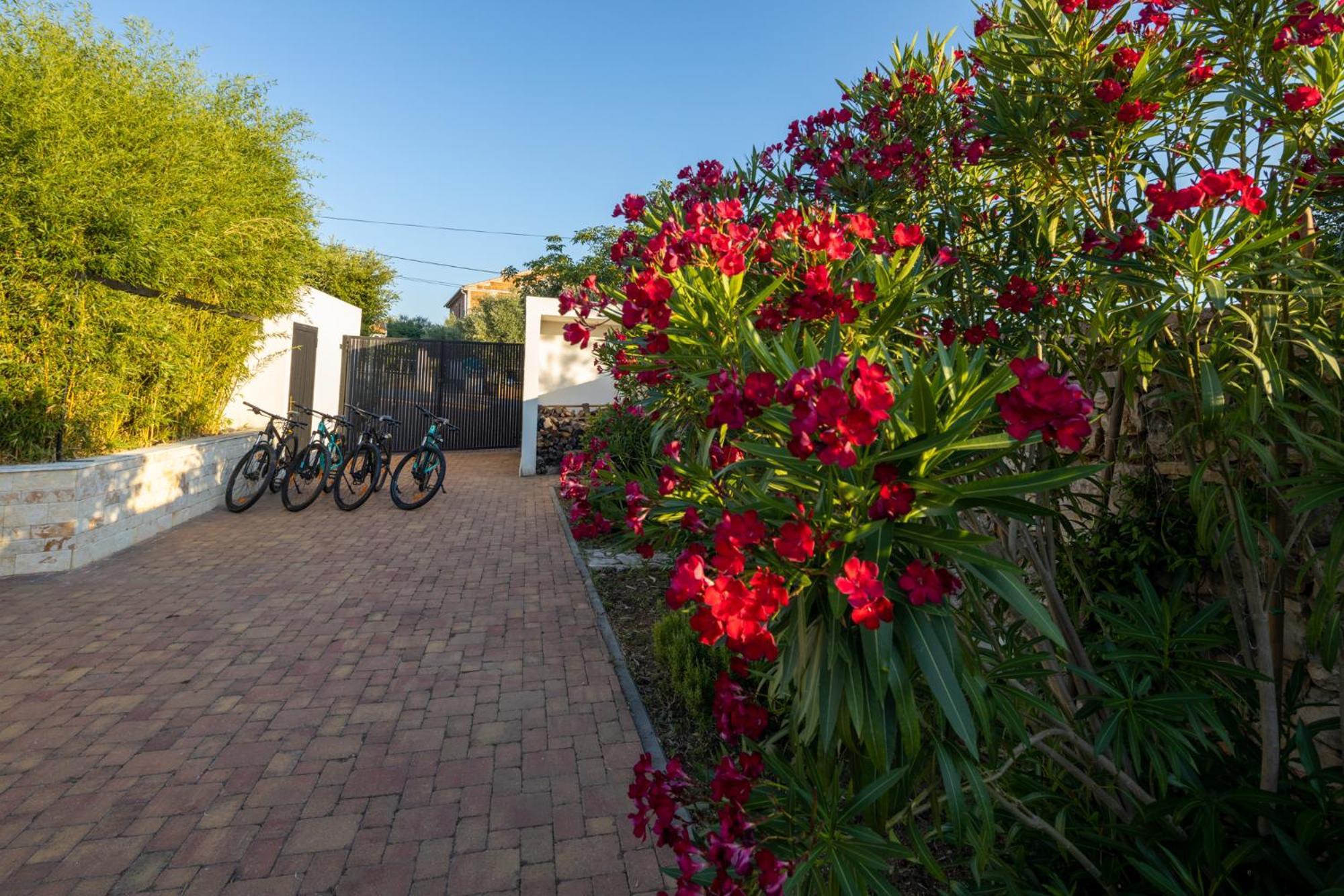 Vila Gallo Galovac  ภายนอก รูปภาพ
